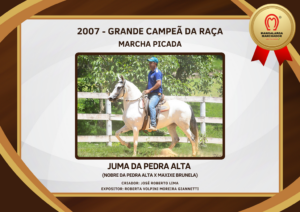 2007-Juma-da-Pedra-Alta-Copy_10_58-1.png