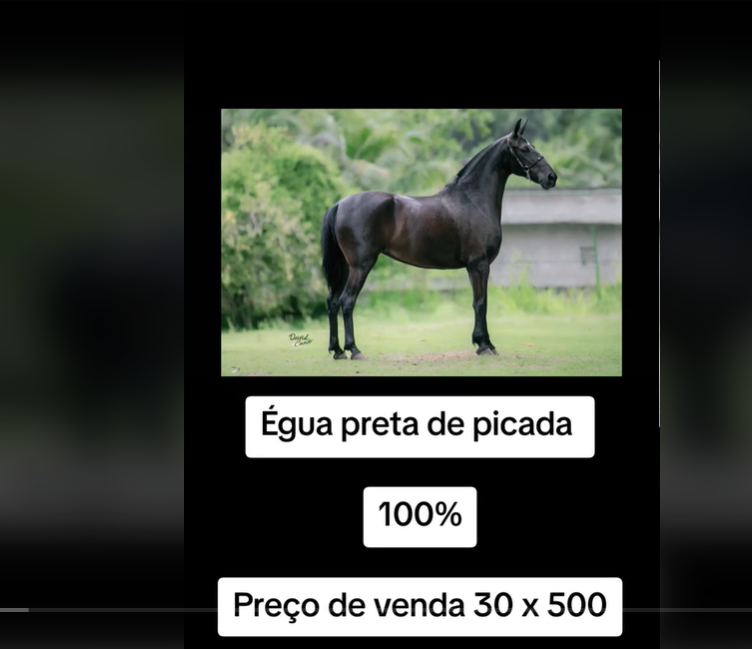 leoazao